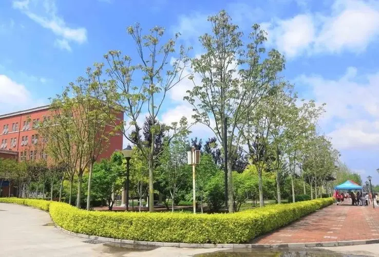 智慧校園視覺(jué)方案的可持續(xù)性：如何將環(huán)保理念融入校園建設(shè)