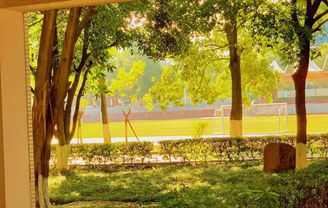 當(dāng)學(xué)子遠(yuǎn)離家鄉(xiāng),親情電話成為校園中的心靈紐帶